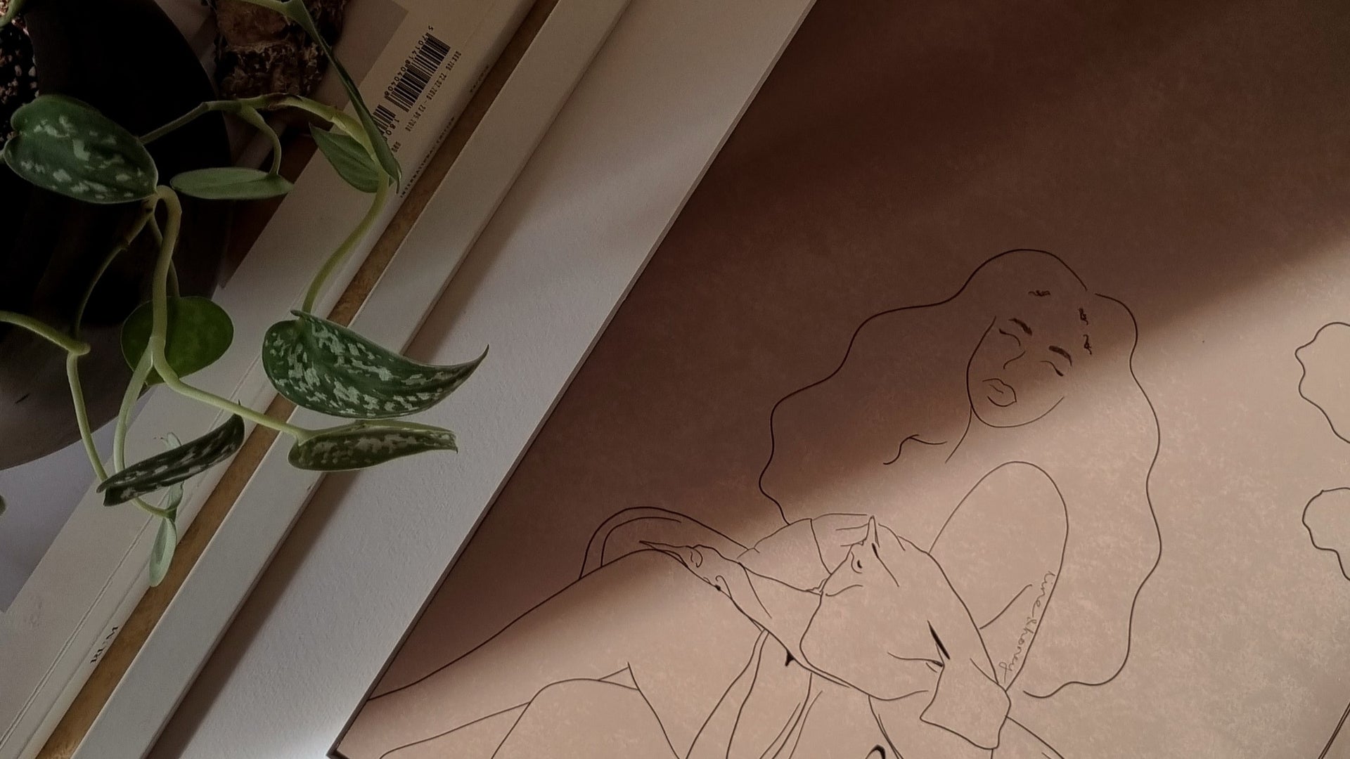 Load video: line &amp; honey illustration prints and framed art